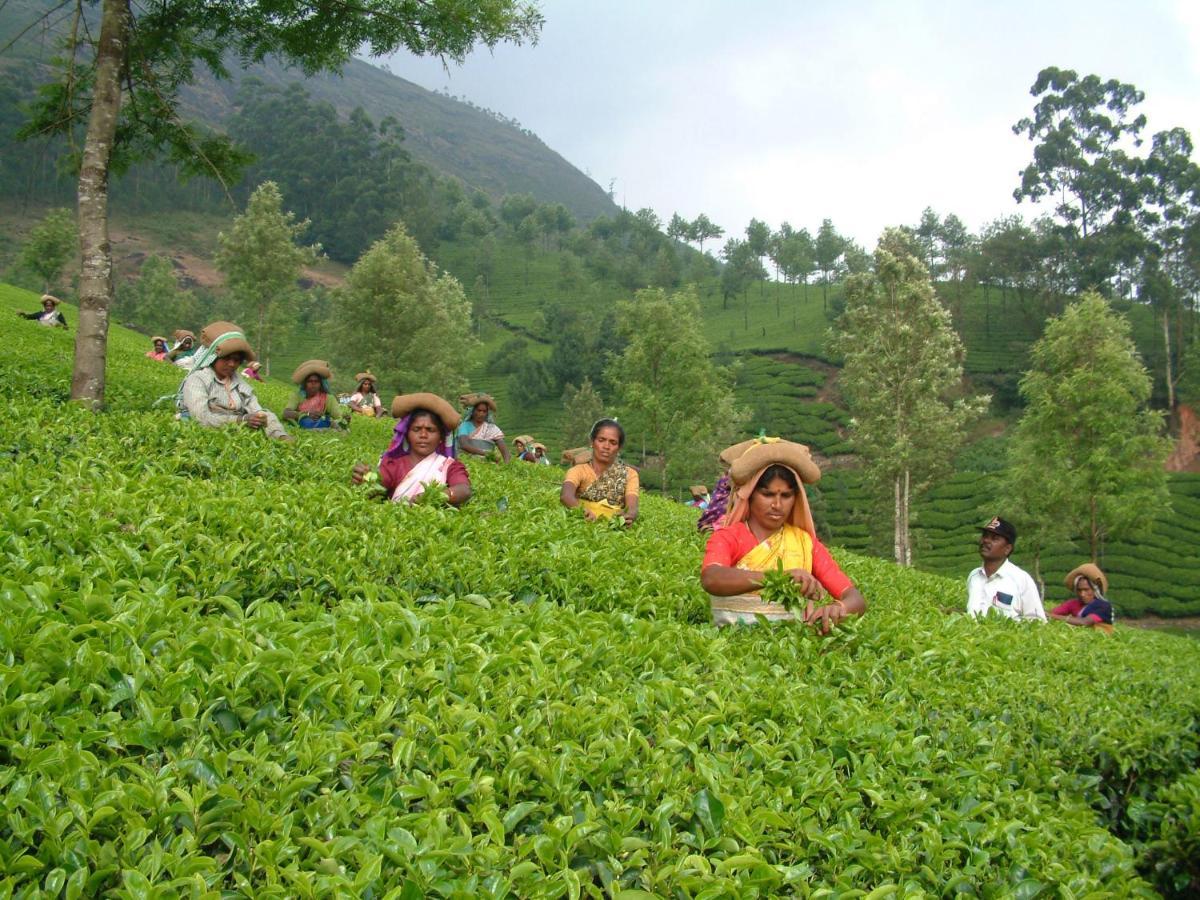 Ferienwohnung Mistica Munnar Anachal Exterior foto