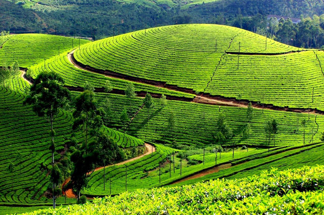 Ferienwohnung Mistica Munnar Anachal Exterior foto