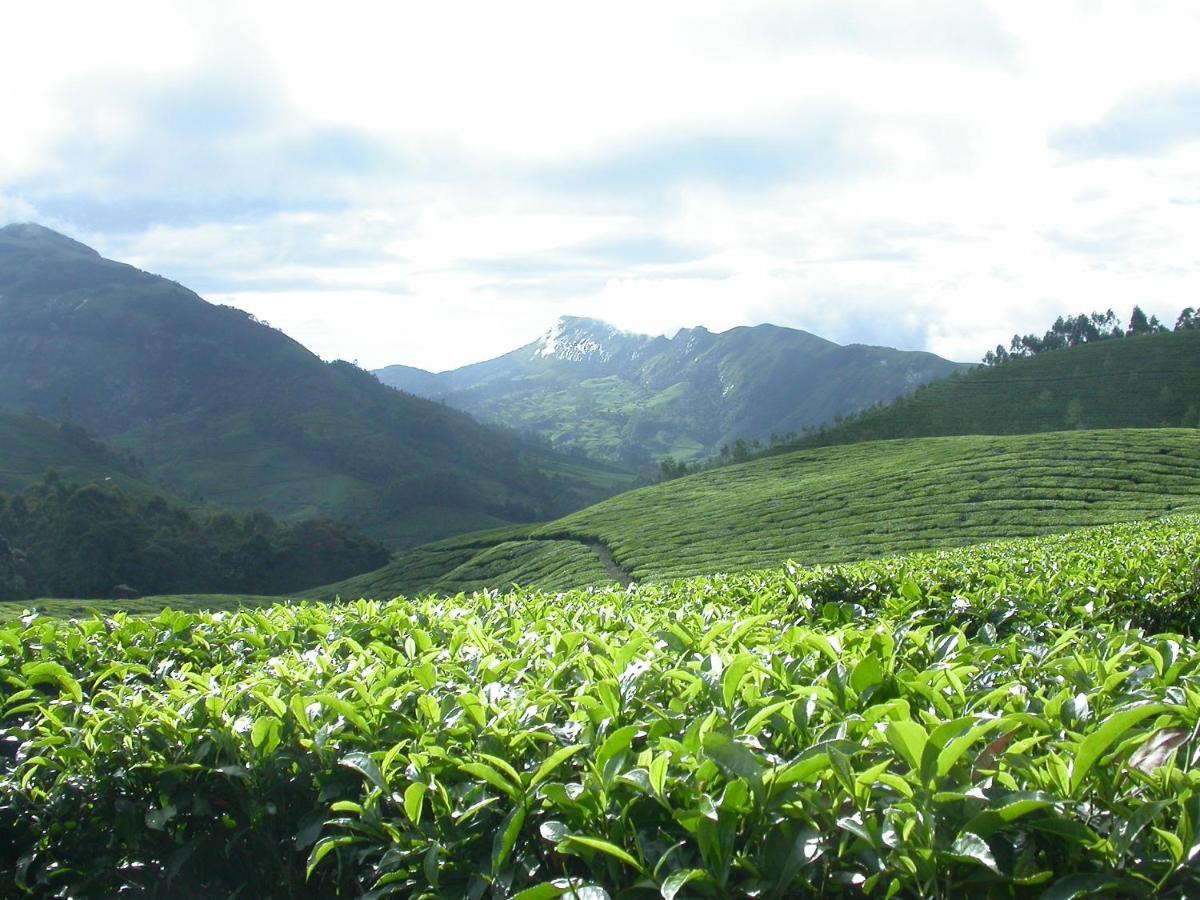 Ferienwohnung Mistica Munnar Anachal Exterior foto