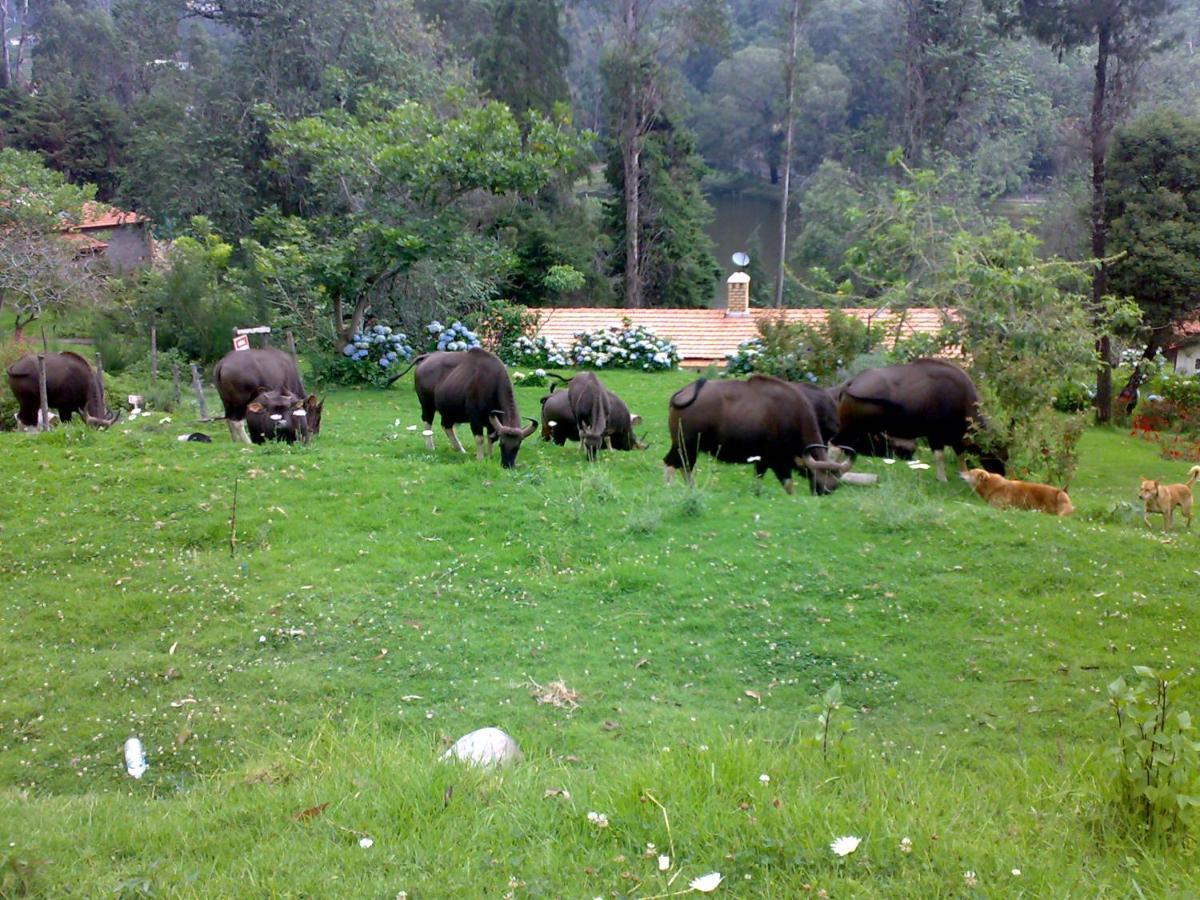 Ferienwohnung Mistica Munnar Anachal Exterior foto