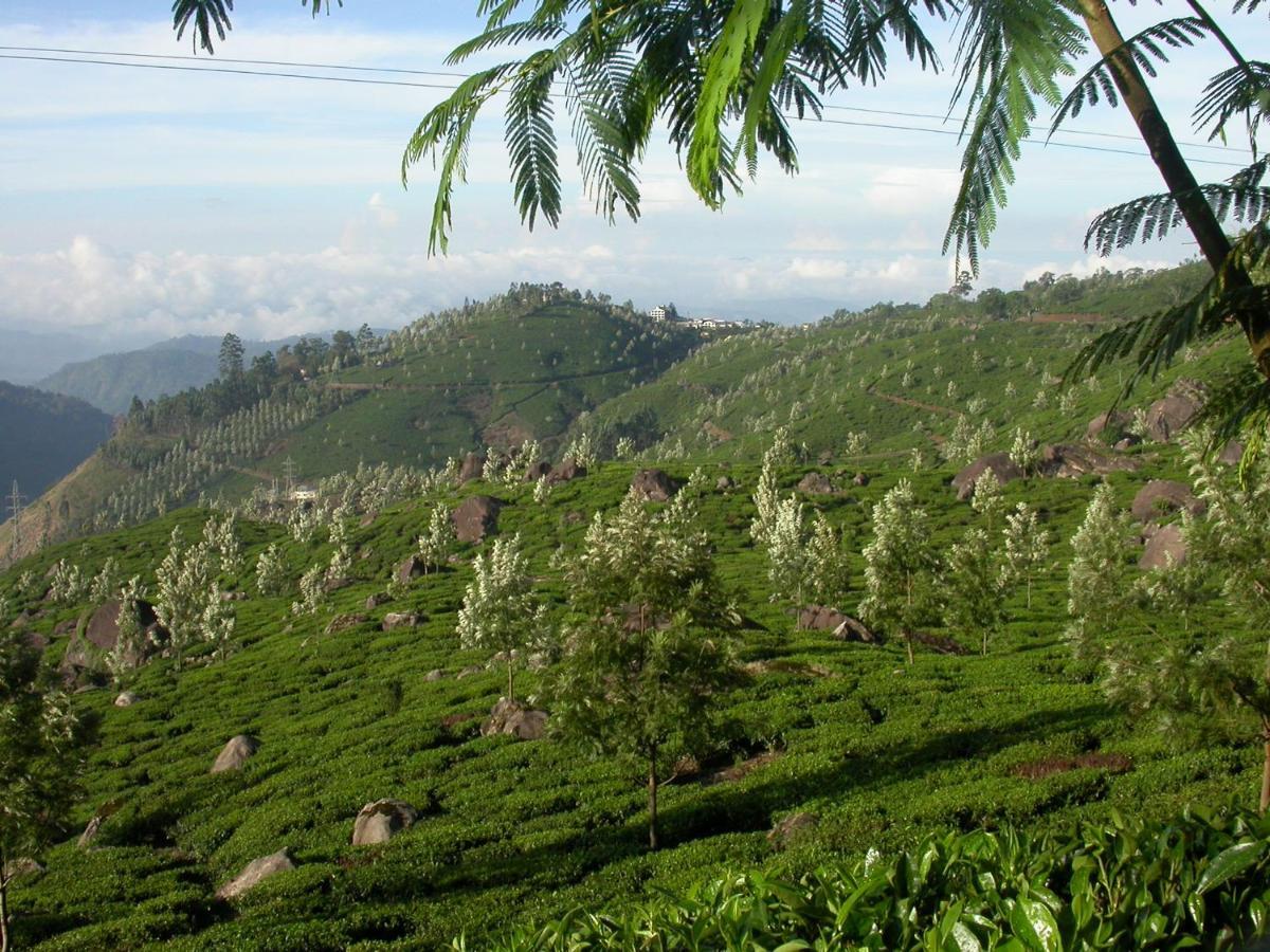 Ferienwohnung Mistica Munnar Anachal Exterior foto