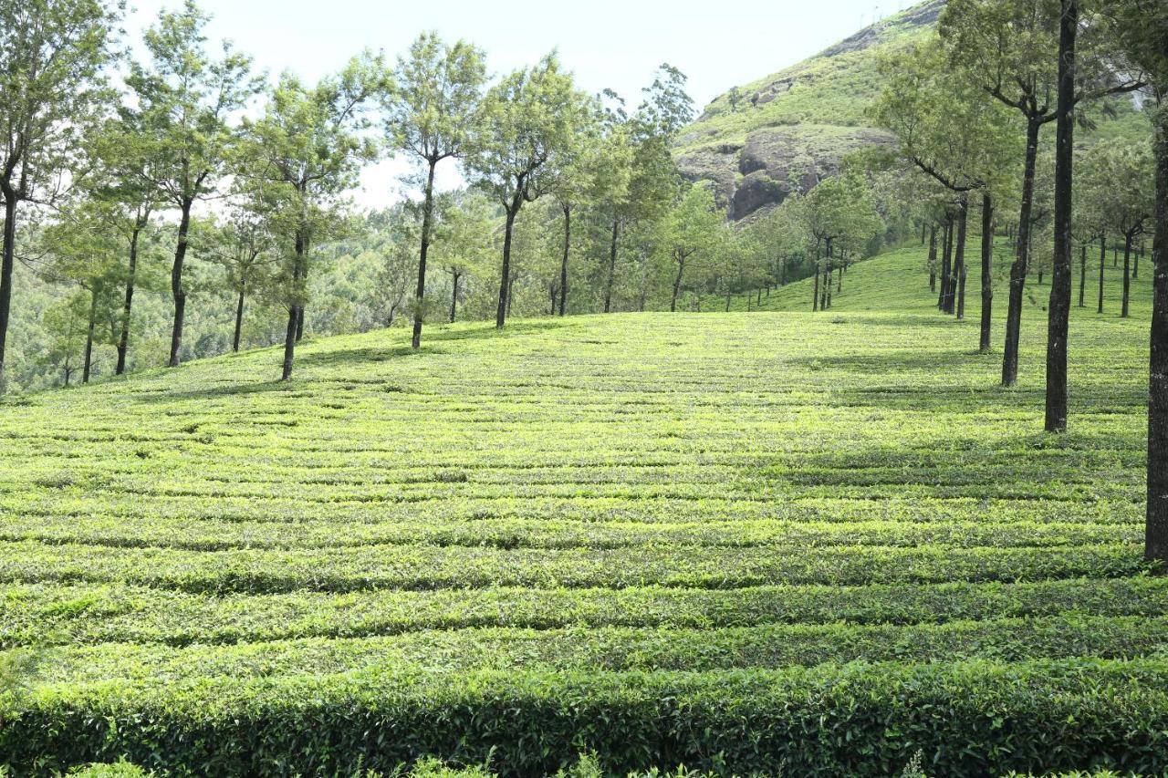 Ferienwohnung Mistica Munnar Anachal Exterior foto