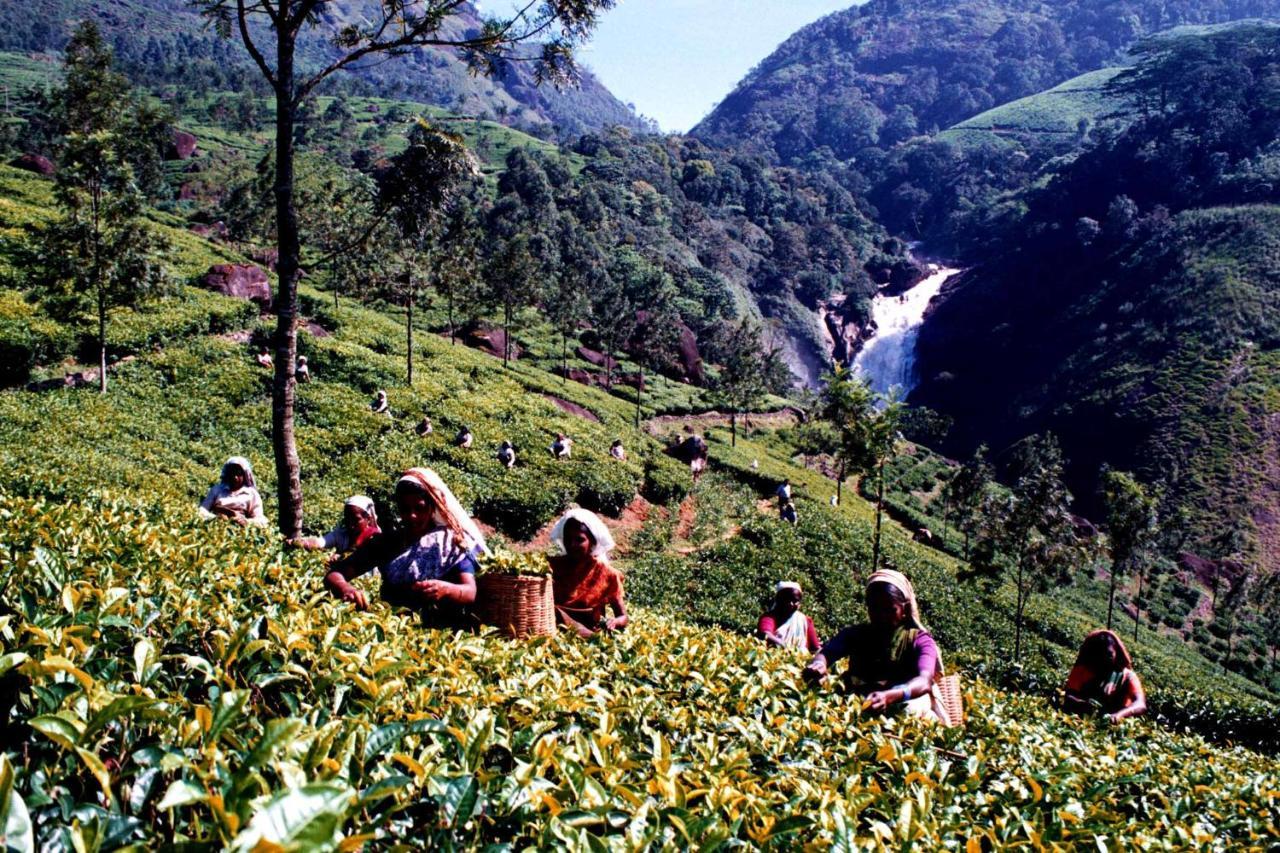 Ferienwohnung Mistica Munnar Anachal Exterior foto